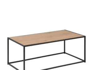 Salontafel 100x50x40 cm