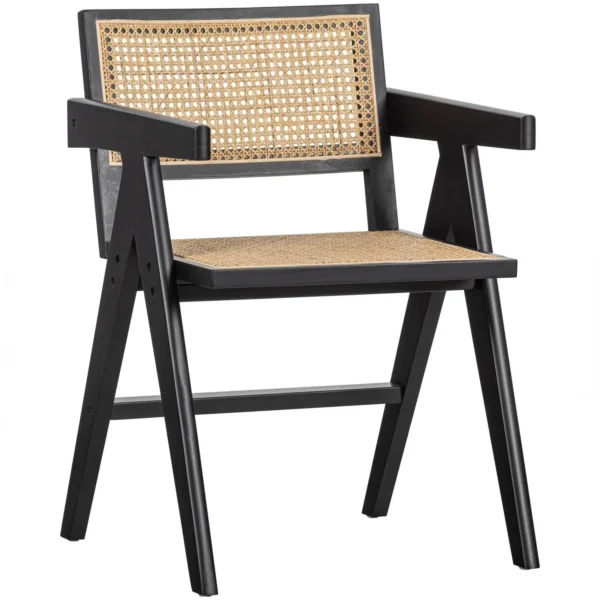Woood Gunn Eetkamerstoel - Rattan - Zwart (set van 2)