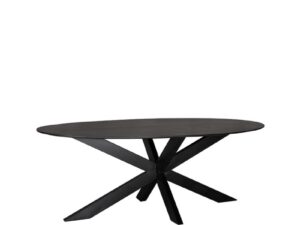 Eetkamertafel Ovaal  Zwart 210x100x76 cm