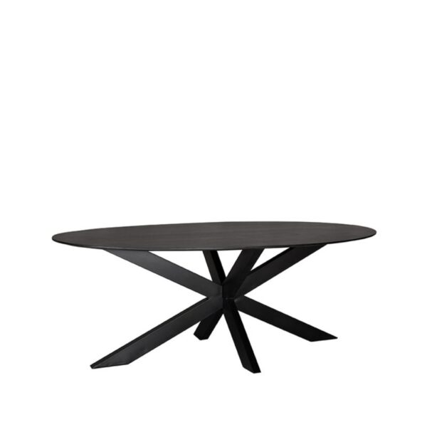 Eetkamertafel Ovaal  Zwart 210x100x76 cm
