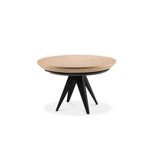 Eetkamertafel uitschuifbaar (120-220cm)
