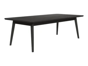 Salontafel zwart 120x60cm