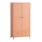 2 Deurs metalen kast Zalm