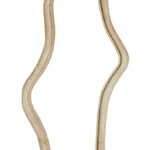 Light & Living  spiegel Celano (80x44 cm)